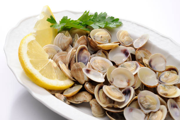 plate of clams - fotografia de stock