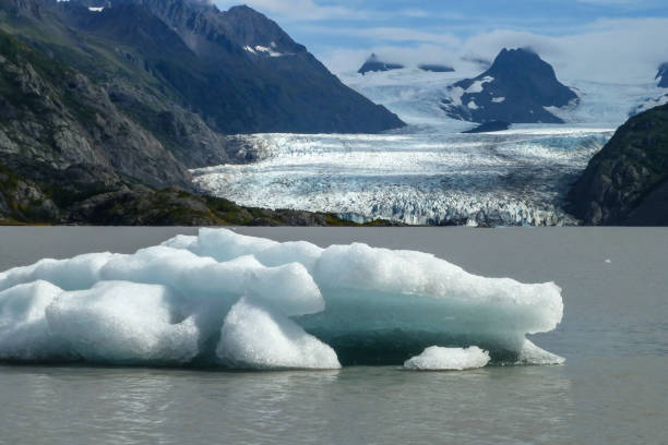 istock View of Grewingk Glacier and lake 656138574