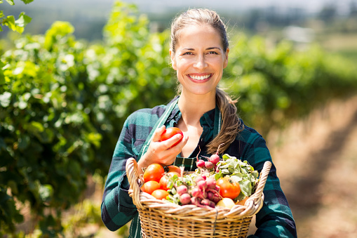 Portrait of happy female farmer holding a basket of vegetables in the vineyard