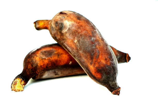 잘 익은 바나나에 브라운 - banana rotting ripe above 뉴스 사진 이미지