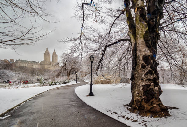 istock Central Park, New York City 656164320