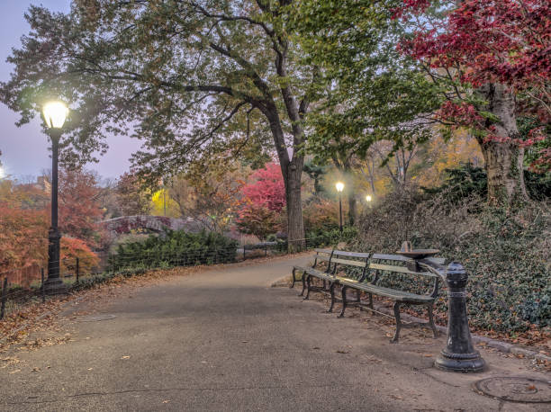 istock Central Park, New York City 656164608