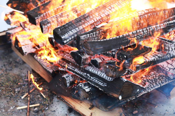 istock wooden logs burn with a bright flame in the fire 656164644