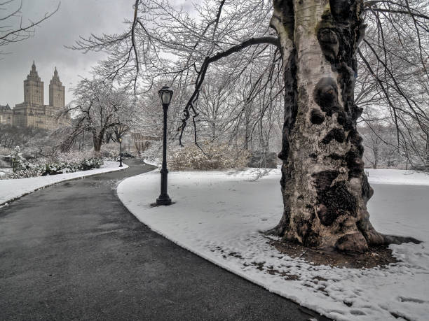 istock Central Park, New York City 656165118
