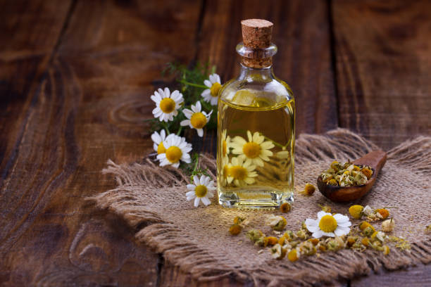 chamomile oil aromatherapy - m chamomilla imagens e fotografias de stock