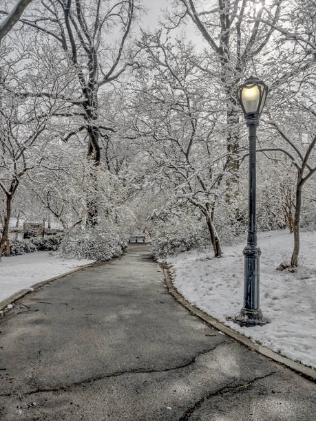istock Central Park, New York City 656169476