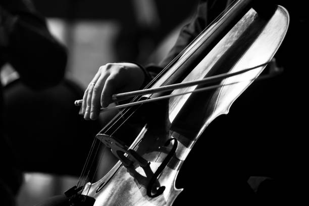Musician hand playing the cello Musician hand playing the cello in black and white classical-music stock pictures, royalty-free photos & images