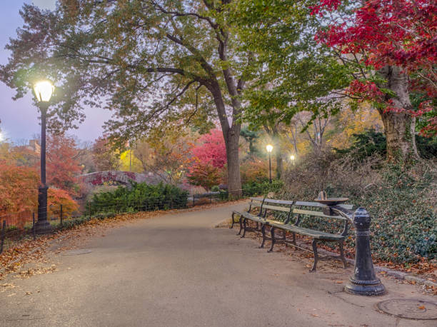 istock Central Park, New York City 656172234