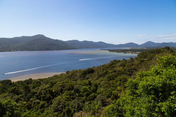 landscape santa catarina state, brazil - green woods forest southern brazil imagens e fotografias de stock