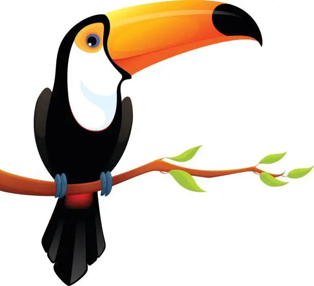 Vector illustration of cute toucan bird sitting on a branch