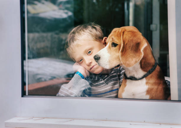 sorrow little boy with best friend looking through window - little boys child sadness depression imagens e fotografias de stock