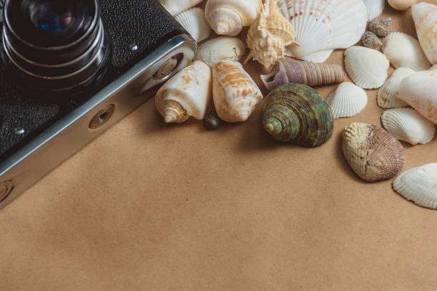 istock frame of seashells and photo camera on light background with copyspace 656180080