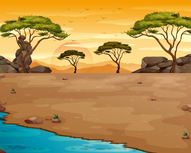 Nature scene with river at sunset Nature scene with river at sunset illustration australian trees stock illustrations