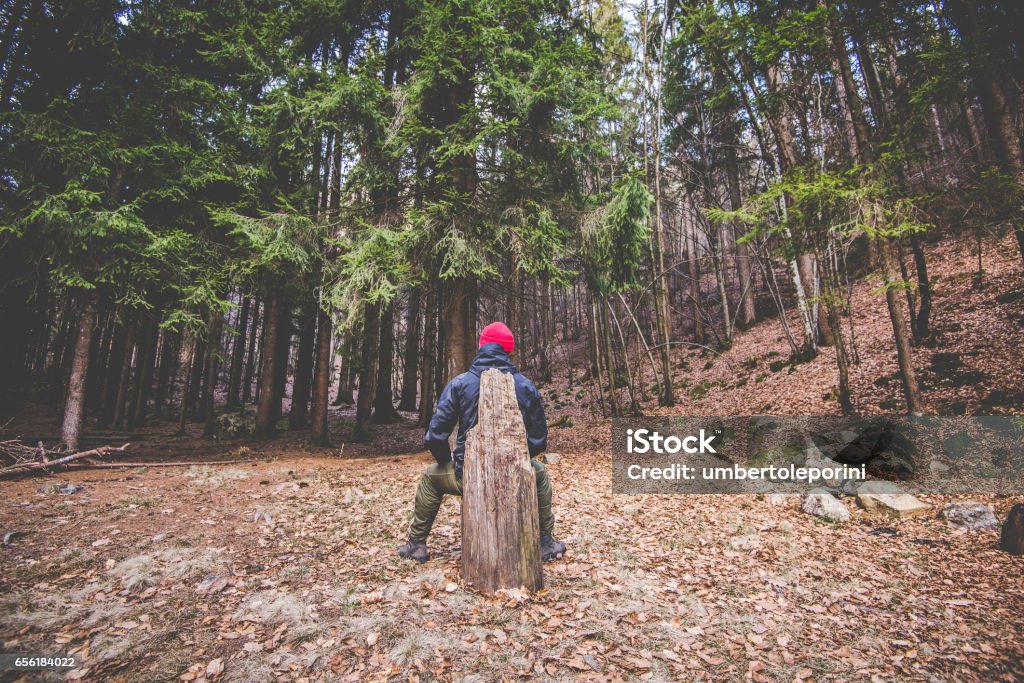 hiker resting and contemplates trees in the woods - wanderlust travel concept with sporty people at excursion in wild nature - outdoor activity italian Alps Italy Men Stock Photo