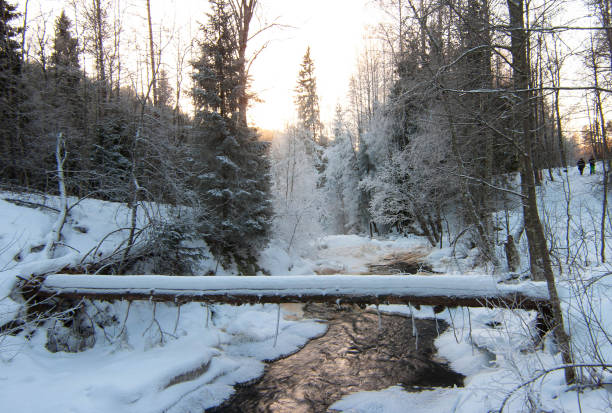 istock Winter forest of Karelia. Waterfall White Bridges. 656184208