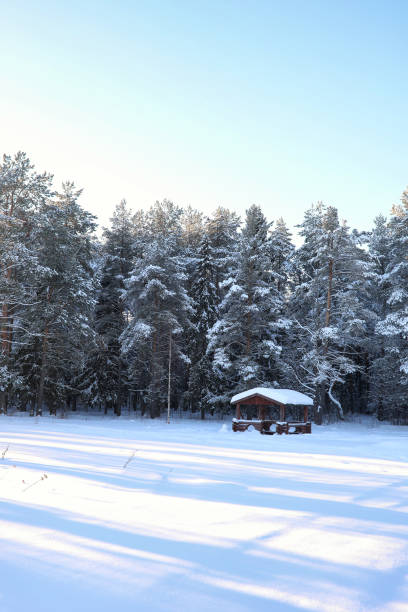 wooden gazebo in the forest in winter sunny day