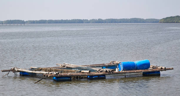 istock Fishermen Life Thailand 656188864