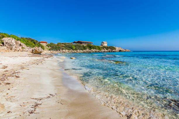 una bellissima spiaggia nella regione di karpaz, nel nord di cipro - karpas foto e immagini stock