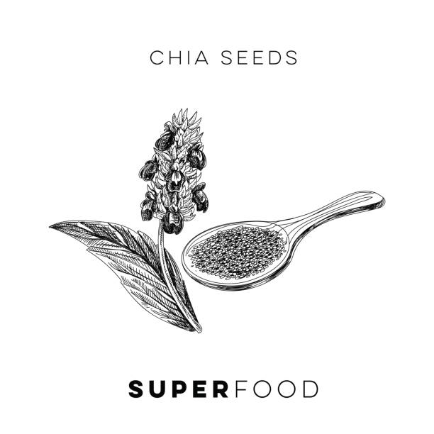 illustrations, cliparts, dessins animés et icônes de main de vecteur dessiné super illustration. - white background cut out food choice