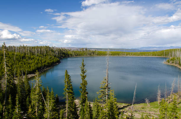 istock Yellowstone National Park 656215104