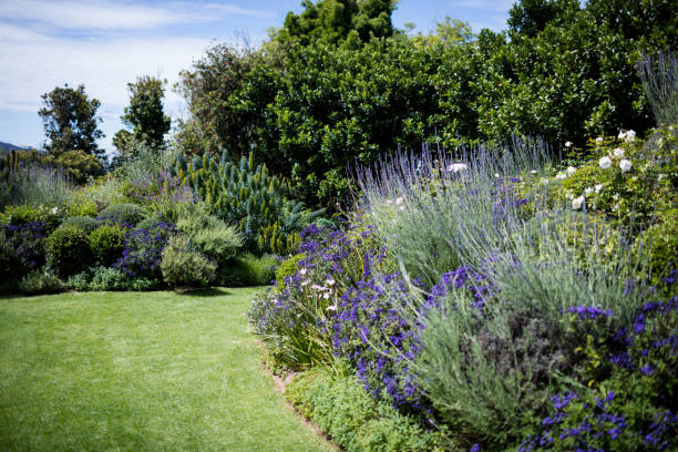 istock View of beautiful garden 656215230