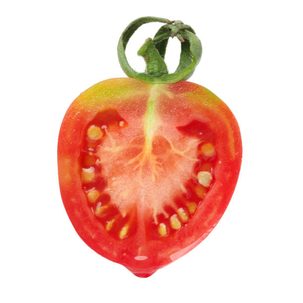istock Small tomato（Tomaten） on white background 656215282