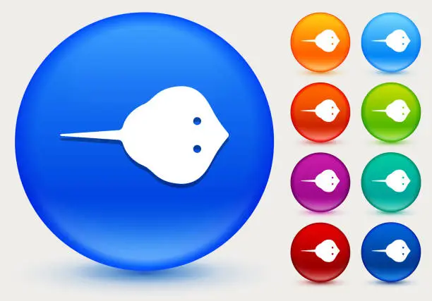 Vector illustration of Stingray Icon on Shiny Color Circle Buttons