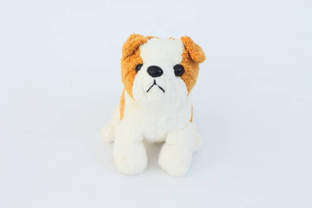 istock White dog doll with brown ears on white background. 656219202
