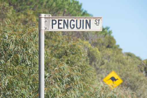 Road sign identifying Penguin Street with an additional sign warning of kangaroos crossing the road on Kangaroo Island in South Australia