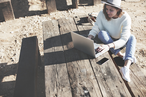 Computer Problem Picnic Woman Using Computer At The Picnic Table Stock Photo - Download Image ...