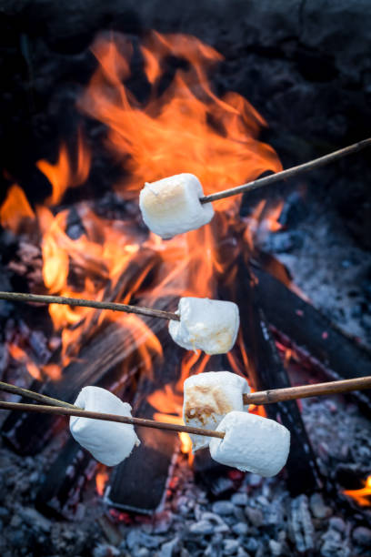 istock Sweet and delicious marshmallows on stick over the bonfire 656227248