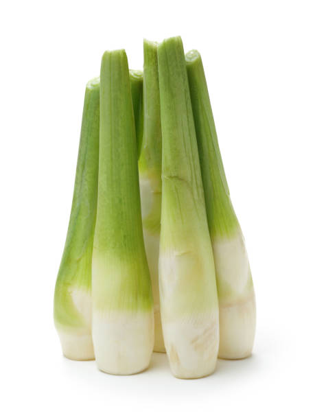 istock Wildrice stem（Zizania latifolia）on white background 656230120