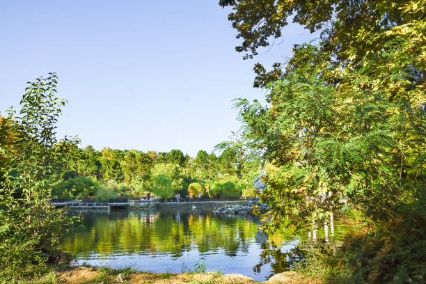 istock City Park lake 656230206