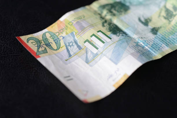 istock Twenty Israeli shekels on a dark background 656230560