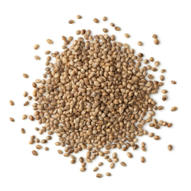 Heap of unshelled hemp seeds
