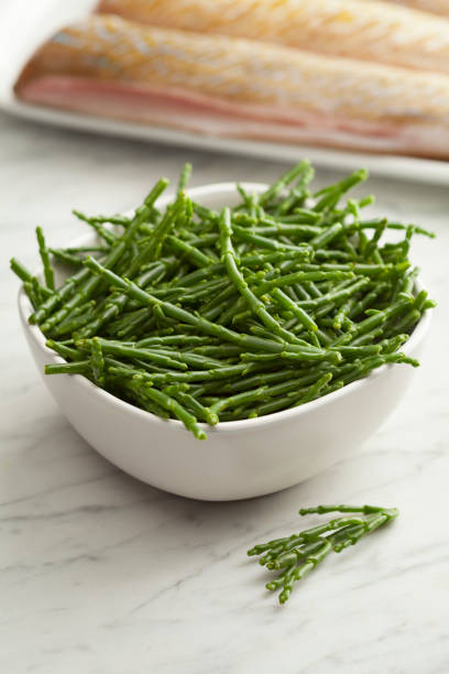 Fresh raw green samphire Fresh raw green samphire in a bowl with fresh fish in the background salicornia europaea stock pictures, royalty-free photos & images