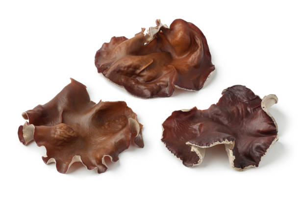 Fresh jelly ear mushrooms