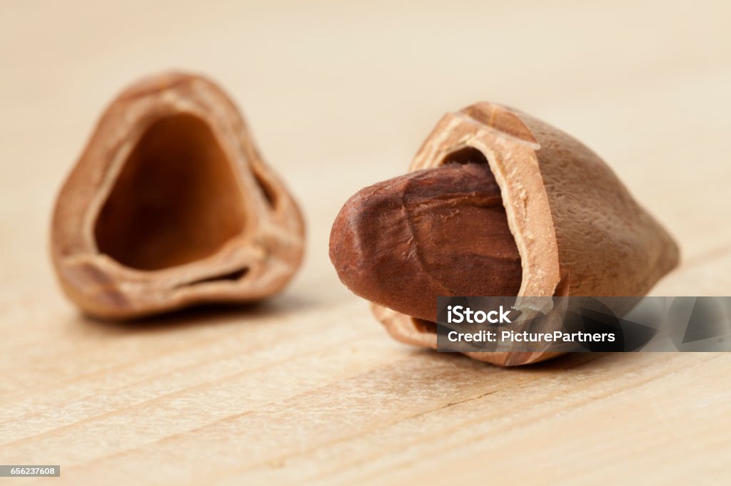 Broken Nut Shell Single Pili Nut In A Broken Shell Stock Photo - Download Image Now ...