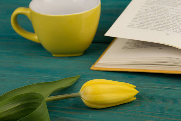 istock Flower tulip, cup and book 656237960