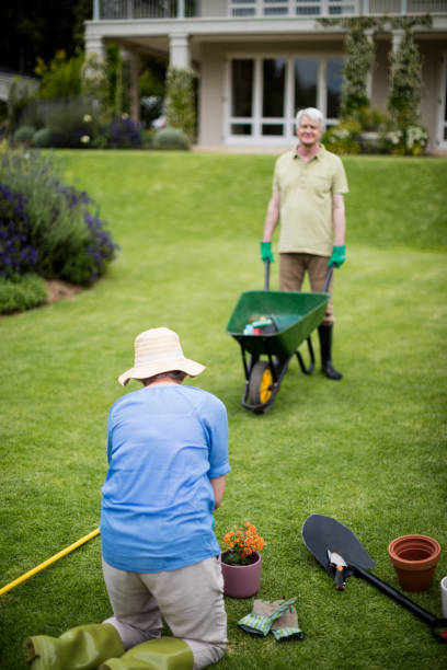 istock Senior couple gardening plant 656241298