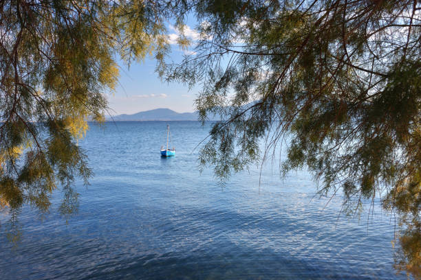 Aegean sea, Chalcis, Greece. Small boat on the azure water View through the tree branches on the colorful fishing boat on blue water at sunset, Aegean sea, Chalcis, Greece crystal chalice stock pictures, royalty-free photos & images