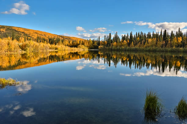 vista panoramica di un lago limpido con riflessi in autunno - clear sky panoramic grass scenics foto e immagini stock