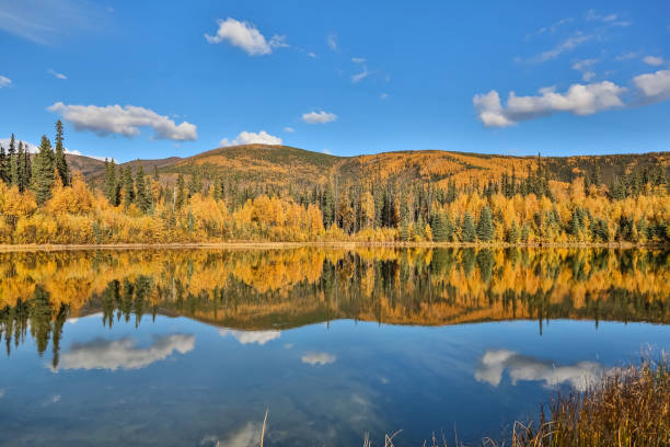 vista panoramica di un lago limpido con riflessi in autunno - clear sky panoramic grass scenics foto e immagini stock