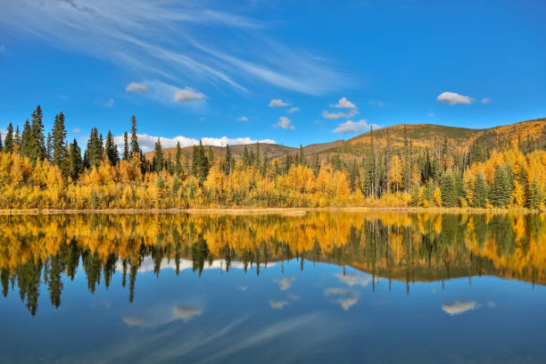 Chena River State Park, Alaska