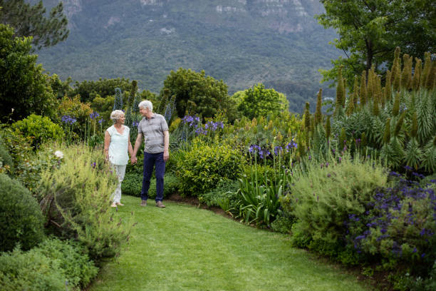 istock Senior couple walking in lawn 656252932