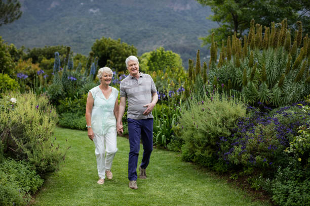 istock Senior couple walking in lawn 656252958