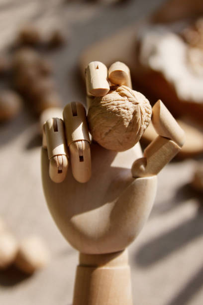 istock Walnut in a wooden hand 656260216