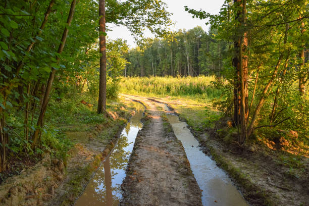 istock Wild nature of Russia 656260806