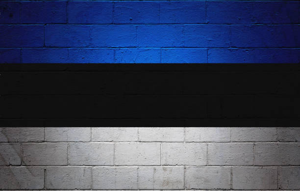 istock Estonian flag painted on a wall 656268860