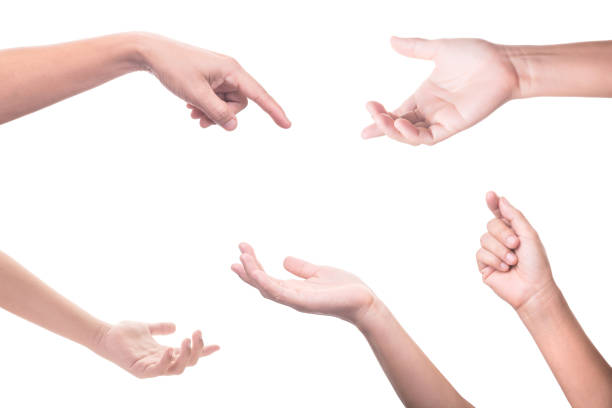 istock set of female hands isolated on white background 656271996